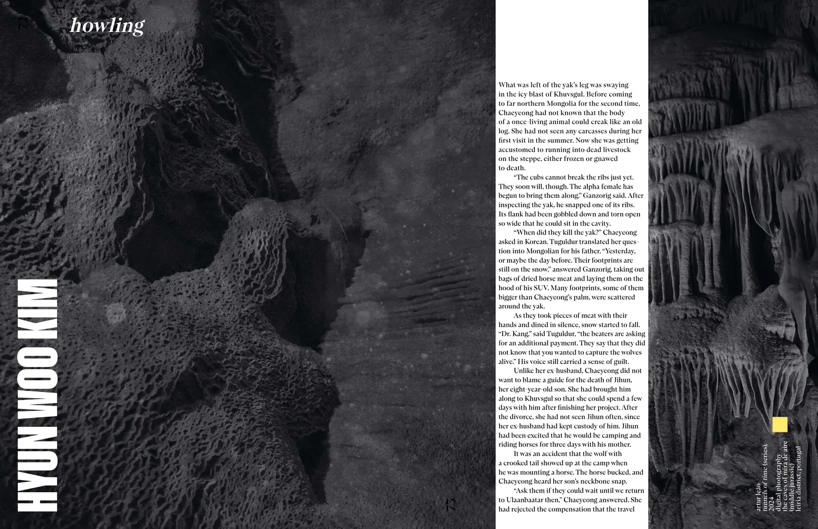 ISSUE 004: IF/ELSE